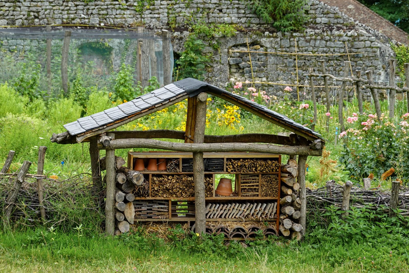 A shed with tools in a garden