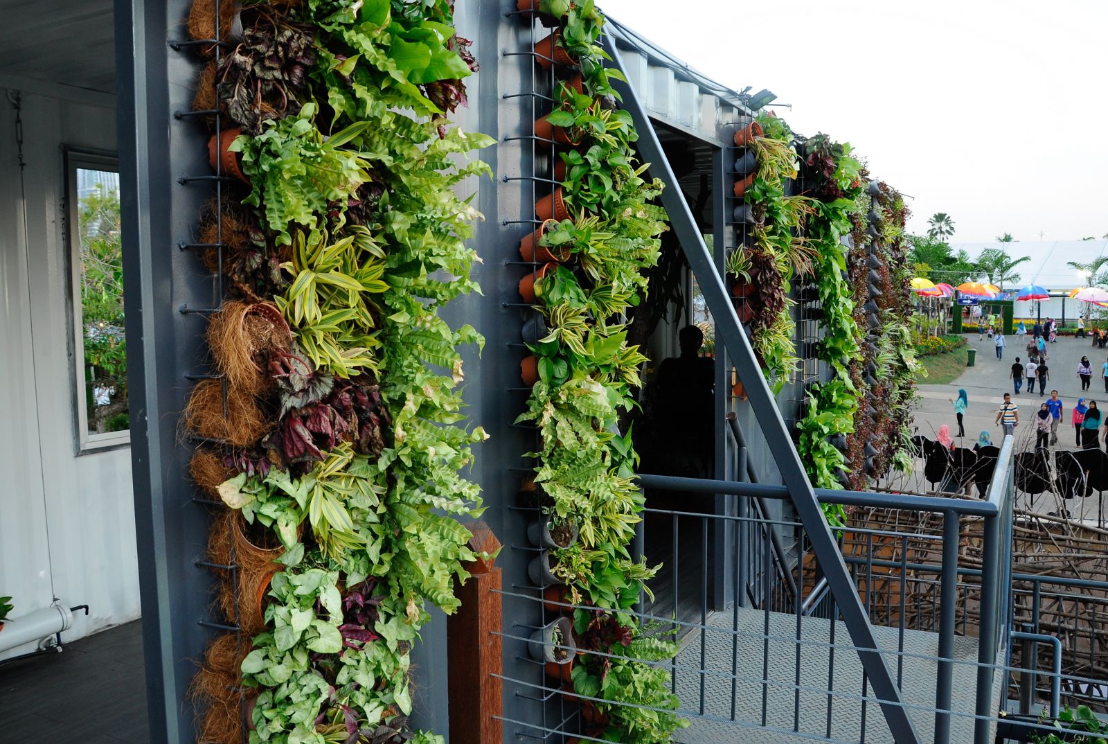 Flowers and vegetables hung as a vertical garden in plastic pots