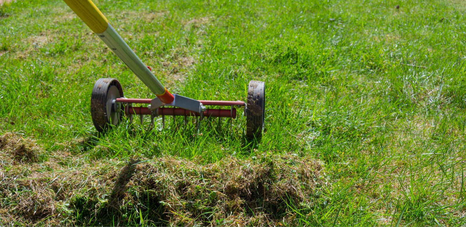 gras verticuteren