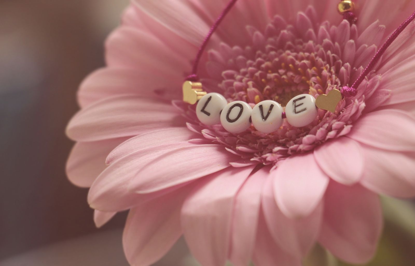 Pink flower for mothers day with a letters that say LOVE