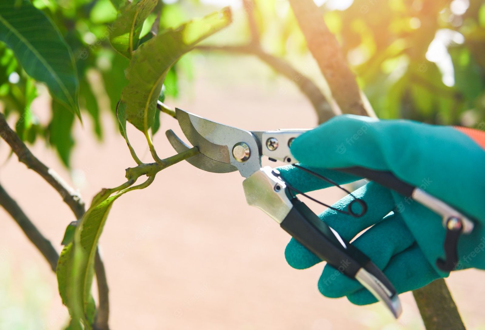 Pruning and Cuttings Techniques for 2023