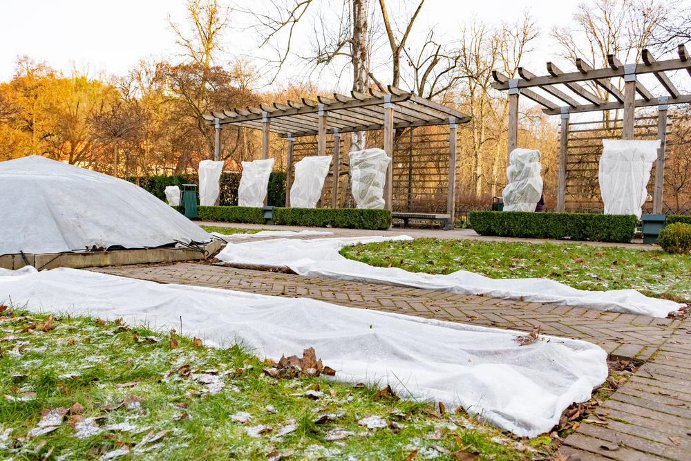 Tuin beschermen winter