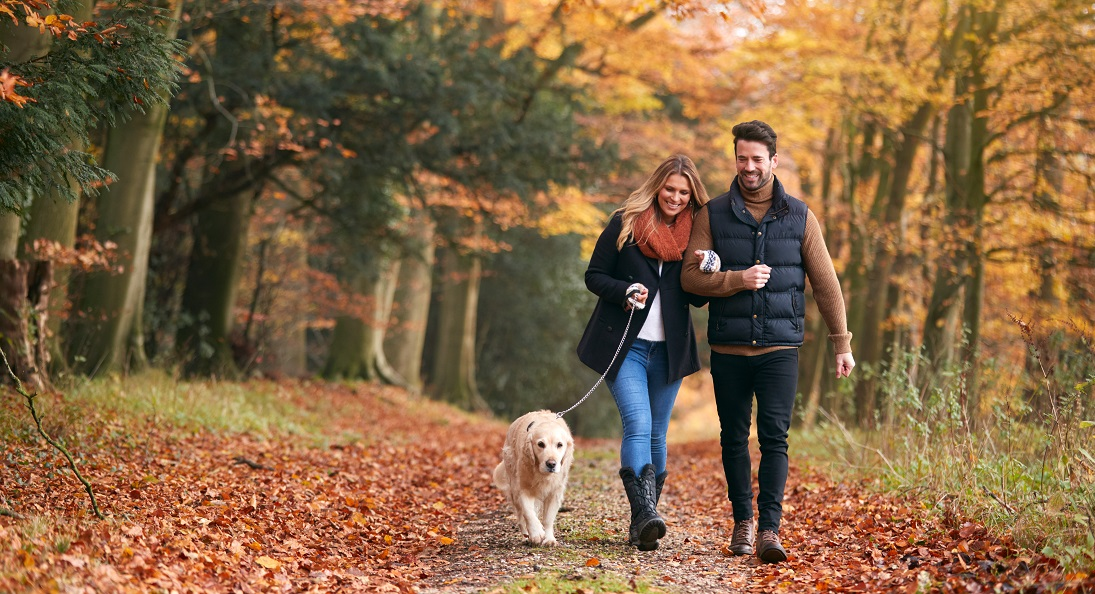 Wandelen in de herfst