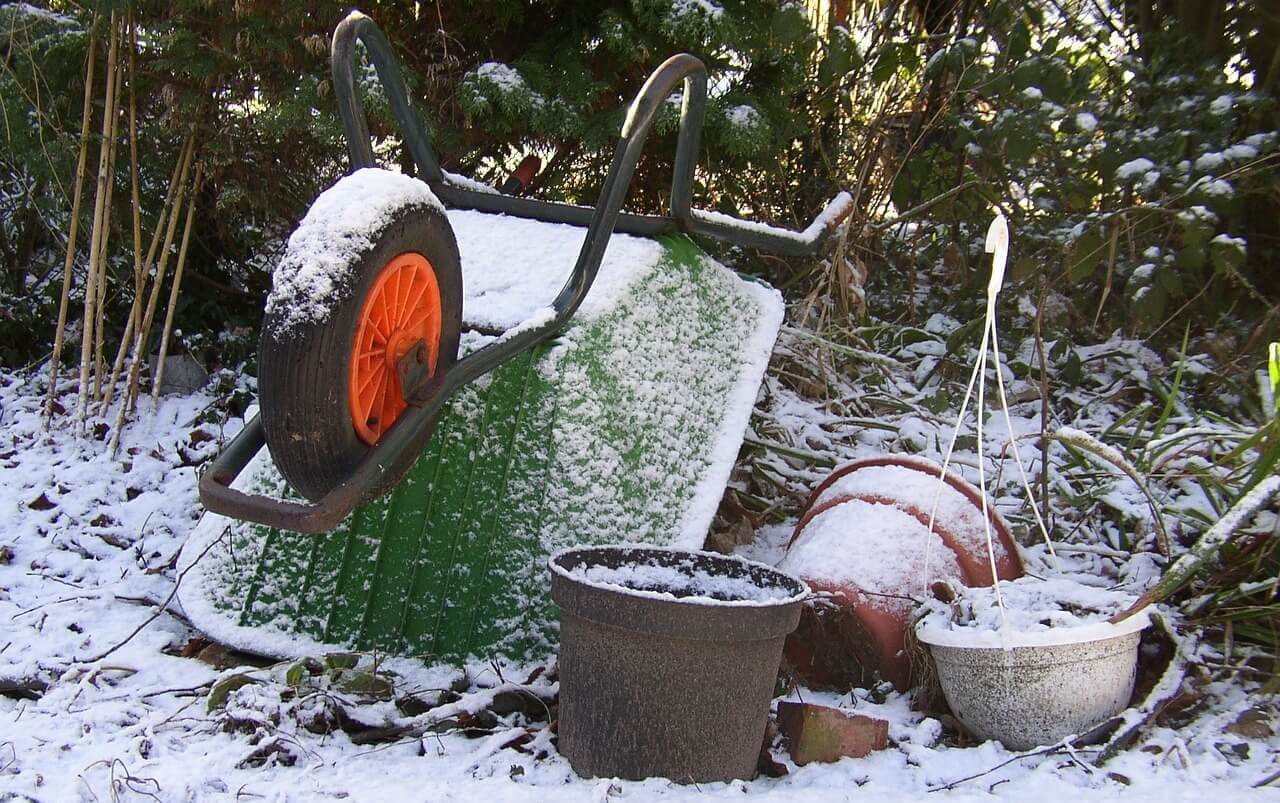 Winter gardening