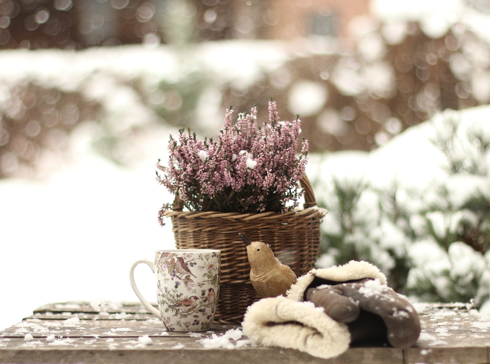 Winter garden accessoires